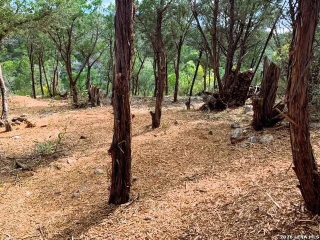 LOT 51 Pr 2537 Mico, TX 78056