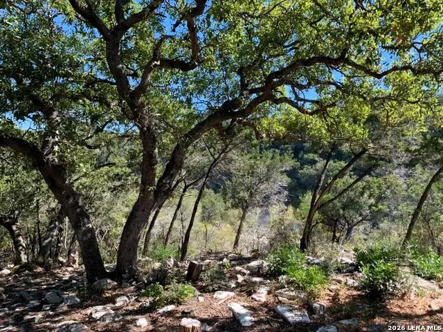 LOT 51 Pr 2537 Mico, TX 78056