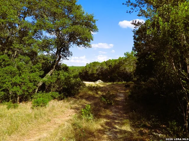 LOT 51 Pr 2537 Mico, TX 78056