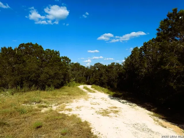 LOT 51 Pr 2537 Mico, TX 78056