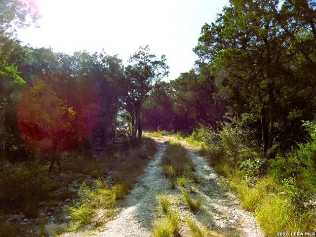 LOT 51 Pr 2537 Mico, TX 78056