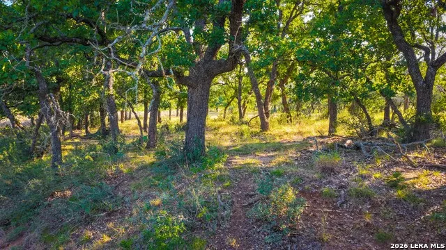 331 Suniland Fredericksburg, TX 78624