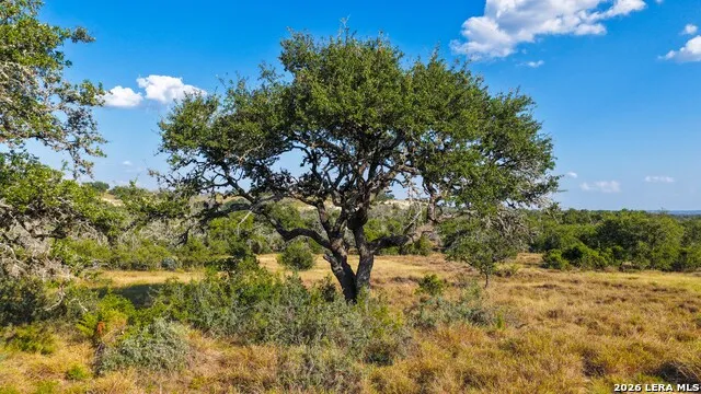 331 Suniland Fredericksburg, TX 78624