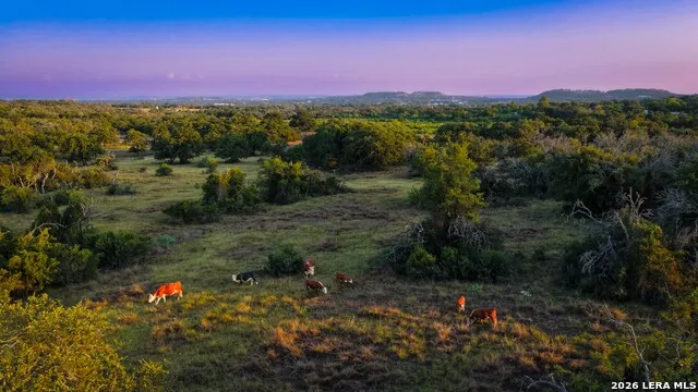 331 Suniland Fredericksburg, TX 78624