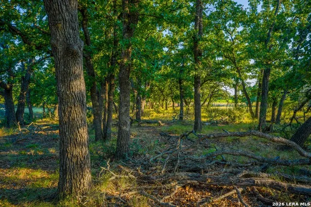 331 Suniland Fredericksburg, TX 78624