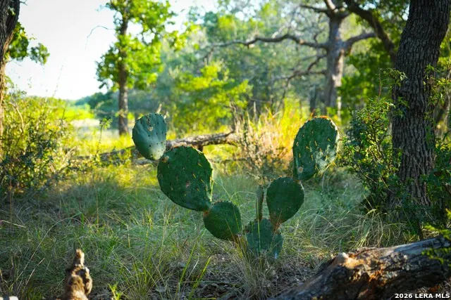 331 Suniland Fredericksburg, TX 78624