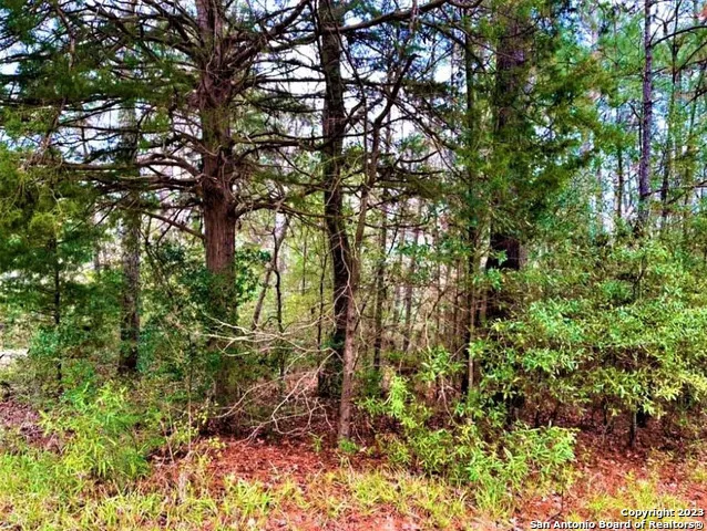 00 Sir Robert Burns Woodville, TX 75979