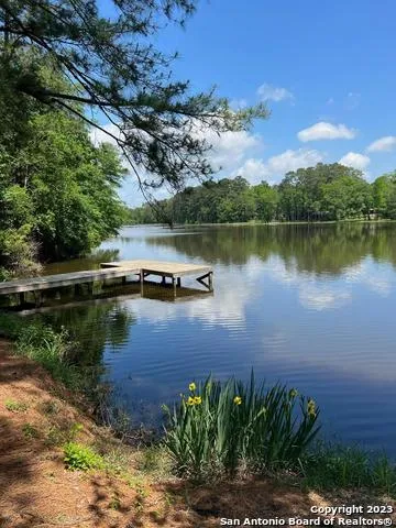 00 Sir Robert Burns Woodville, TX 75979