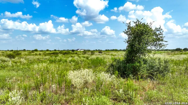 000 Teal Ln Columbus, TX 78934