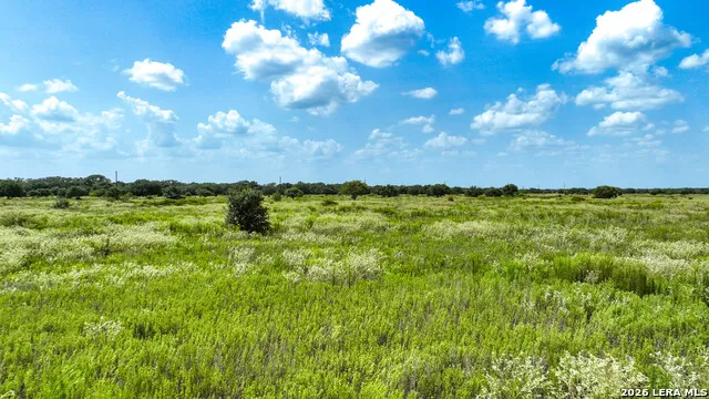 000 Teal Ln Columbus, TX 78934