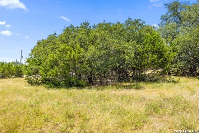 223 Peter Kleid Loop Blanco, TX 78606