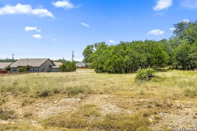 223 Peter Kleid Loop Blanco, TX 78606