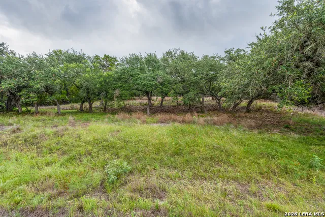 TBD Cibolo Drive Bulverde, TX 78163