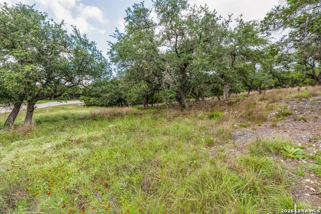TBD Cibolo Drive Bulverde, TX 78163