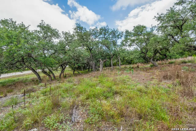 TBD Cibolo Drive Bulverde, TX 78163
