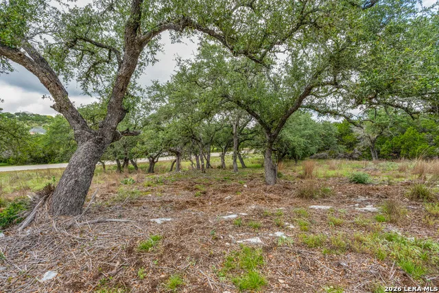 TBD Cibolo Drive Bulverde, TX 78163