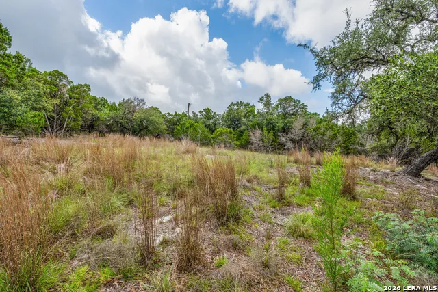 TBD Cibolo Drive Bulverde, TX 78163