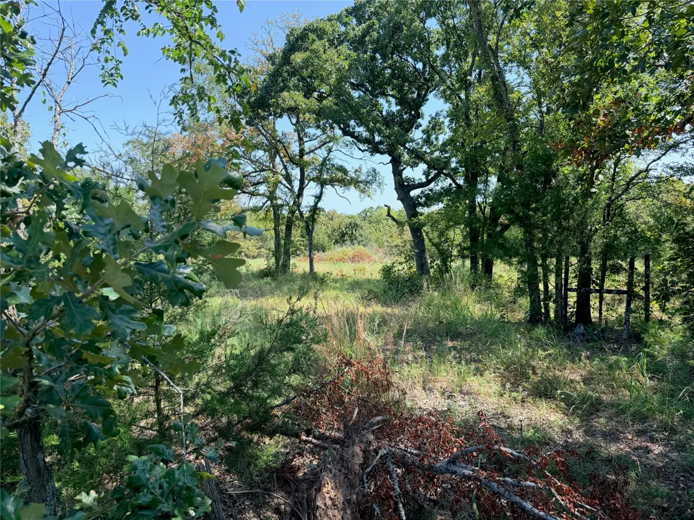 14900 County Road 3620 Ada, OK 74820