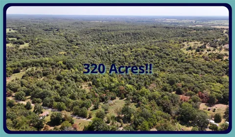 14046 County Road 3620