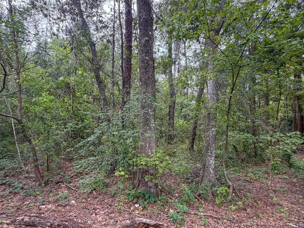 1715 SE 4TH AVENUE Gainesville, FL 32641