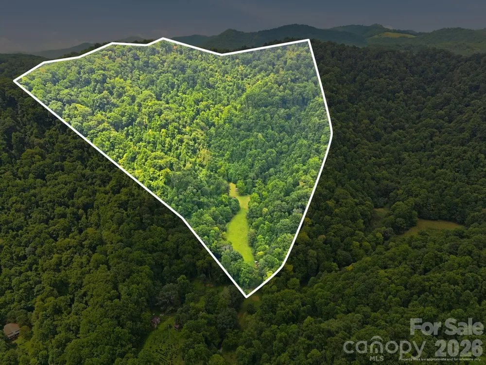 TBD Twin Oaks Road Mars Hill, NC 28754