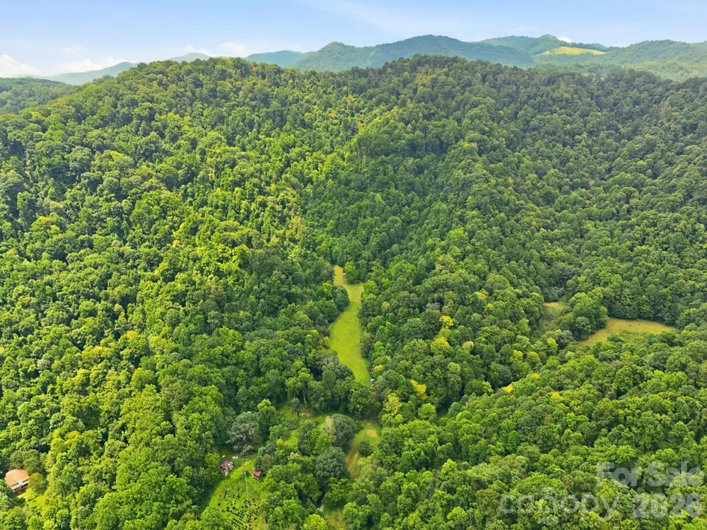 TBD Twin Oaks Road Mars Hill, NC 28754
