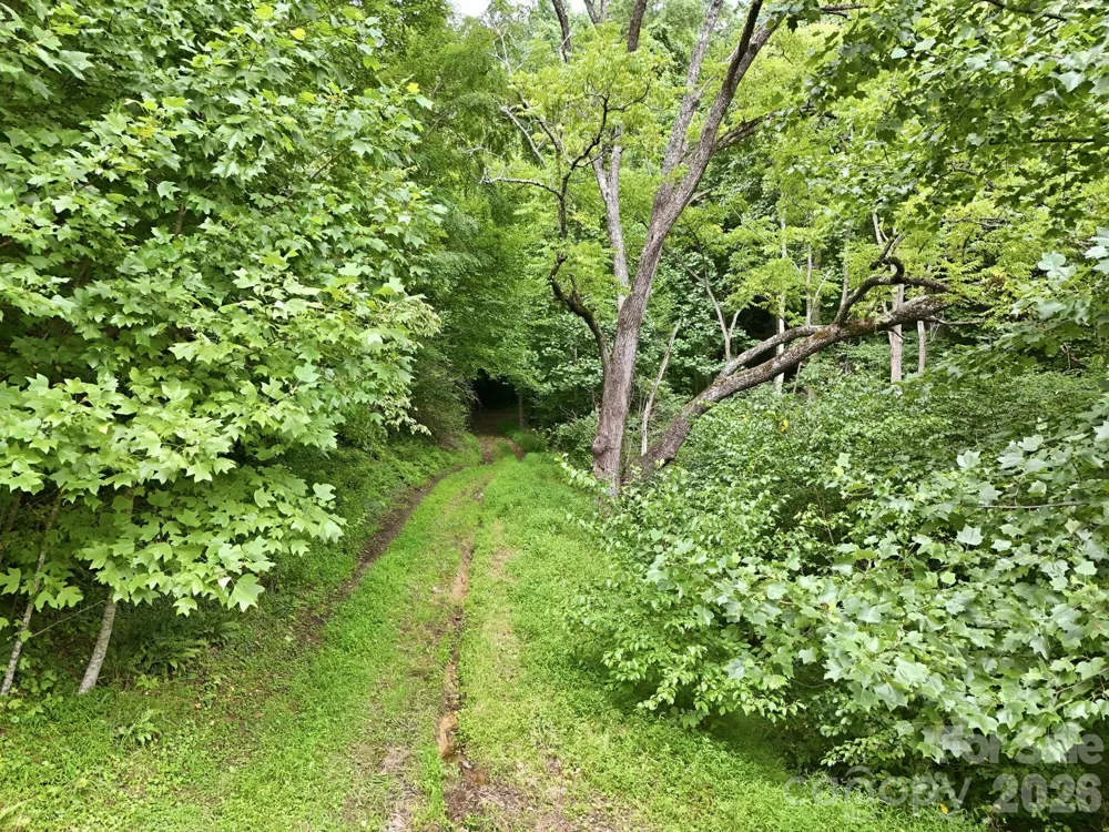 TBD Twin Oaks Road Mars Hill, NC 28754