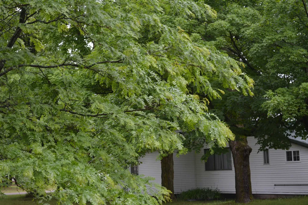 5629 Main Street Clearwater Township, MI 49676