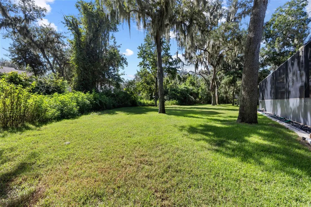 15910 TERNGLADE DRIVE Lithia, FL 33547