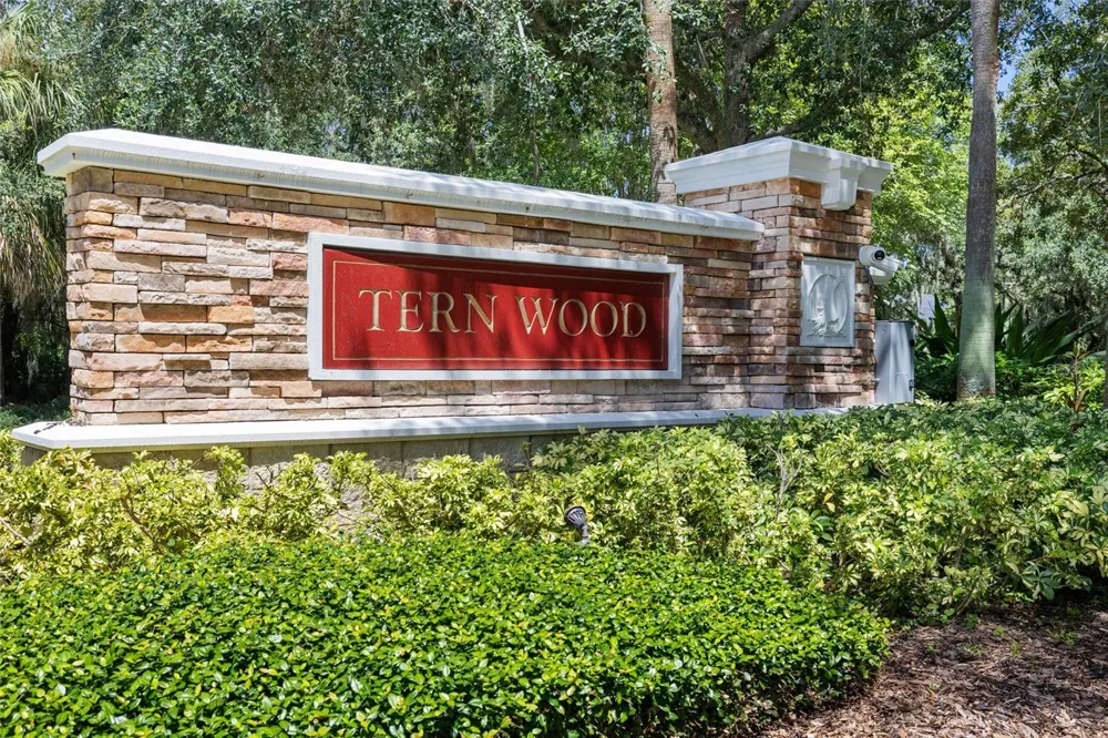15910 TERNGLADE DRIVE Lithia, FL 33547