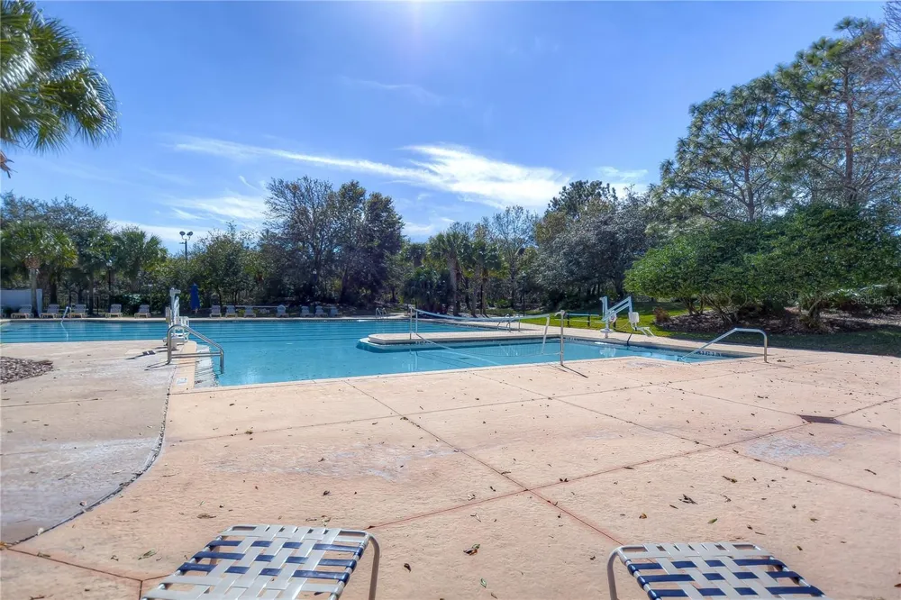 15910 TERNGLADE DRIVE Lithia, FL 33547