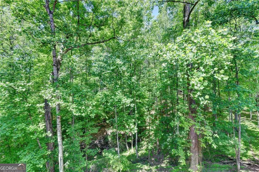 545 Slane TRCE Roswell, GA 30076