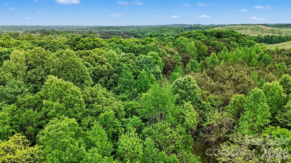 1310 Mount Olive Road Statesville, NC 28625