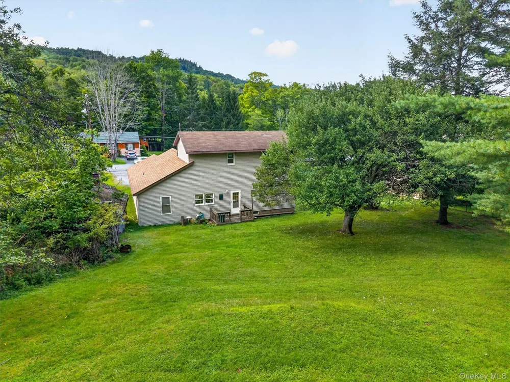 169 Main Street Livingston Manor, NY 12758