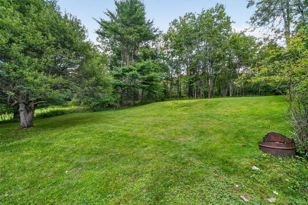 169 Main Street Livingston Manor, NY 12758
