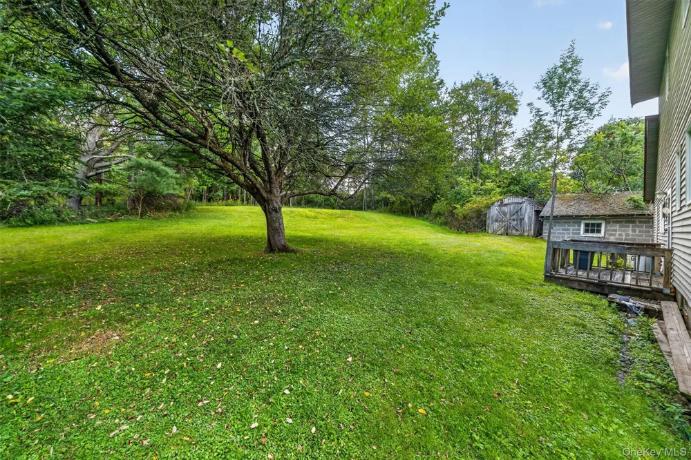169 Main Street Livingston Manor, NY 12758