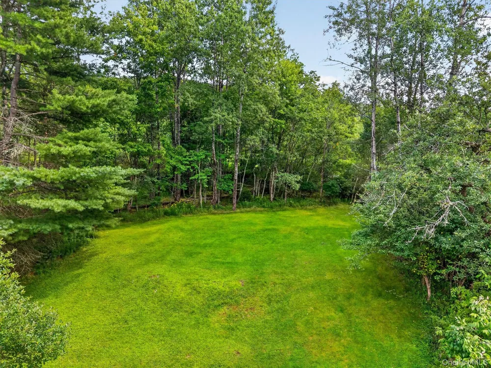 169 Main Street Livingston Manor, NY 12758