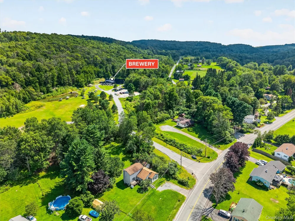 169 Main Street Livingston Manor, NY 12758