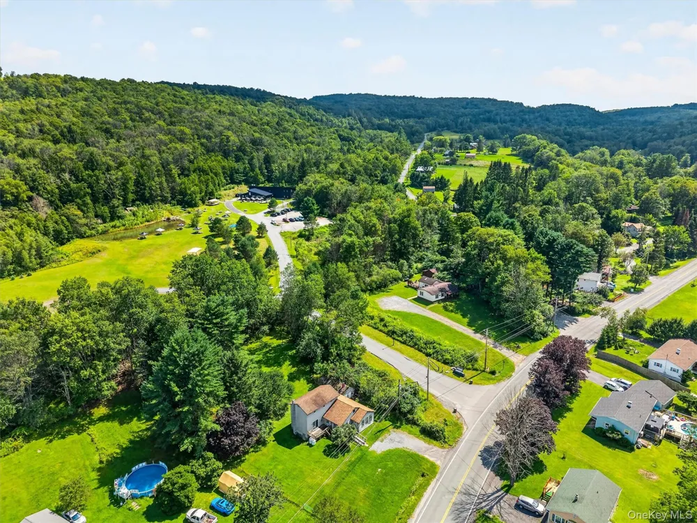 169 Main Street Livingston Manor, NY 12758