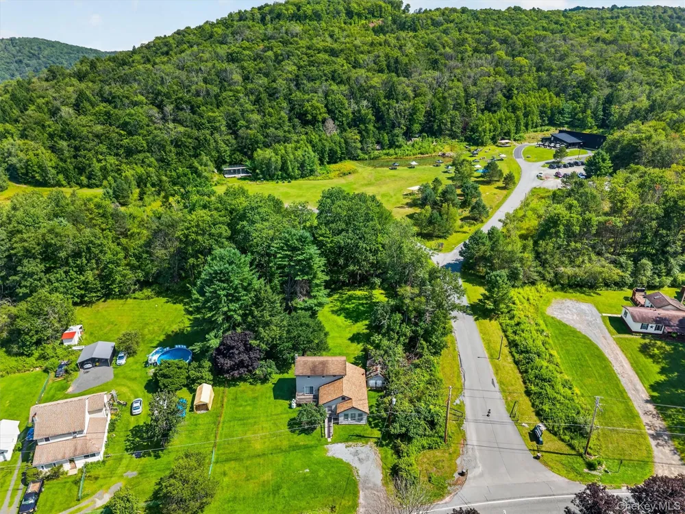 169 Main Street Livingston Manor, NY 12758