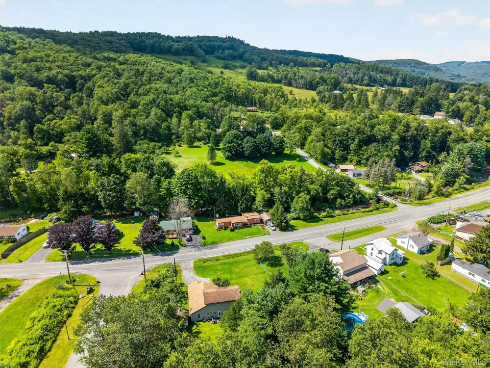 169 Main Street Livingston Manor, NY 12758