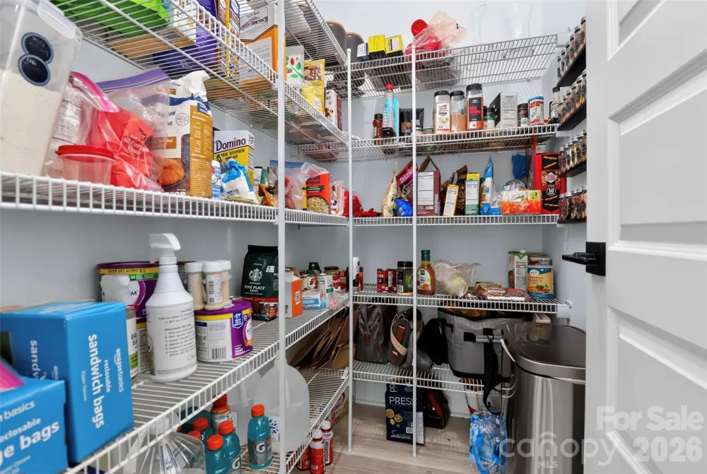 3039 Palm Avenue Charlotte, NC 28205