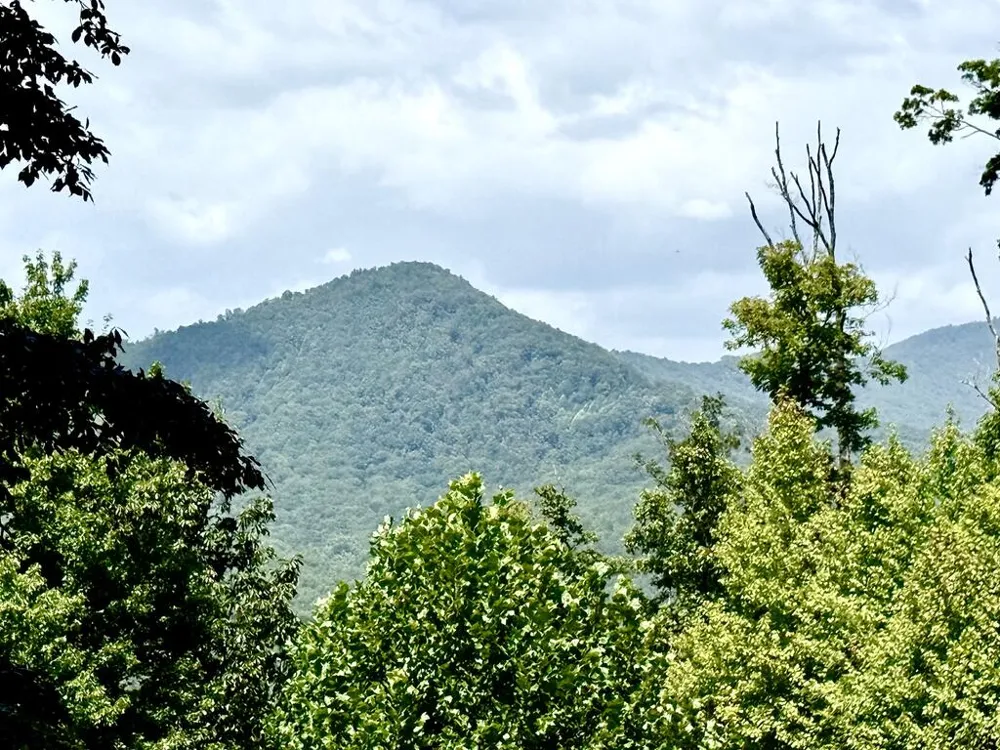 Lot 19 Grand Laurel Brasstown, NC 28902