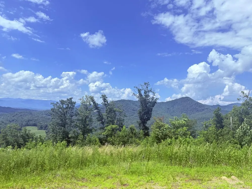 Lot 19 Grand Laurel Brasstown, NC 28902
