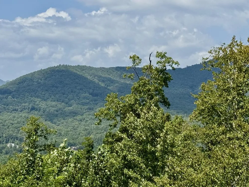 Lot 19 Grand Laurel Brasstown, NC 28902