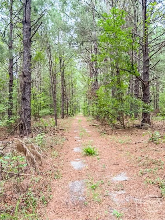 702 Griffin Lake Road Guyton, GA 31312