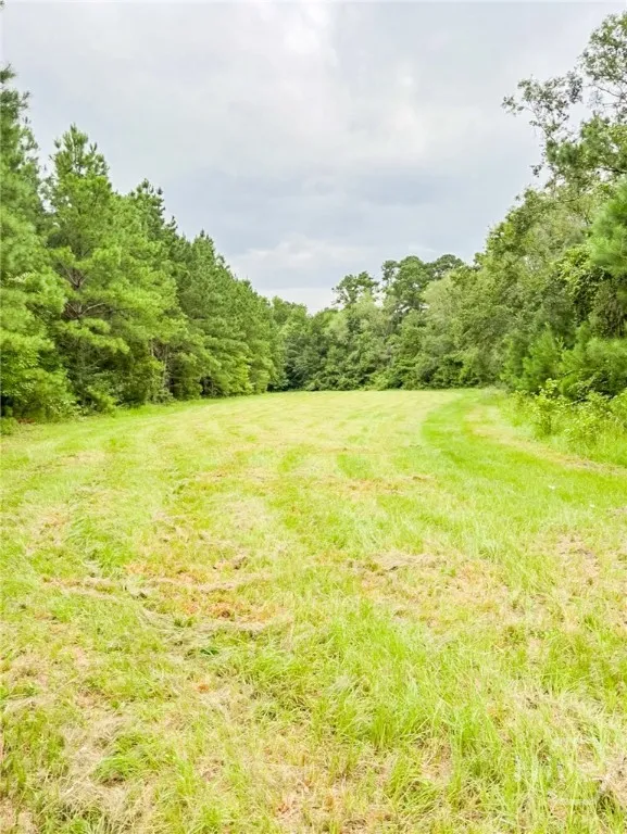 702 Griffin Lake Road Guyton, GA 31312