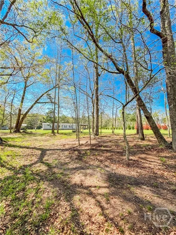 702 Griffin Lake Road Guyton, GA 31312