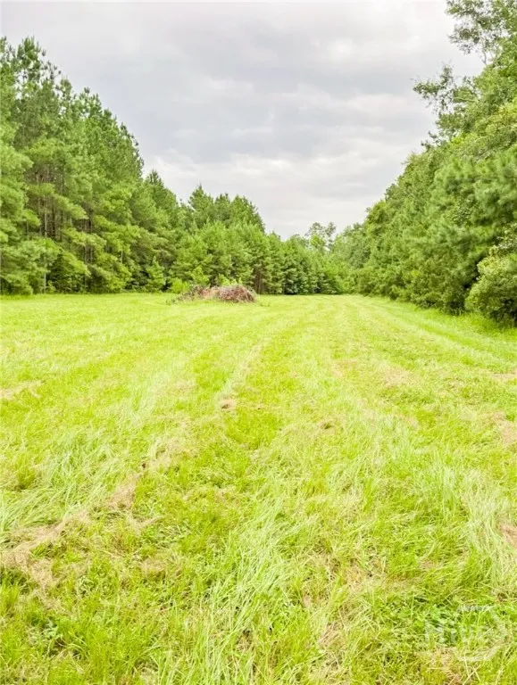 702 Griffin Lake Road Guyton, GA 31312