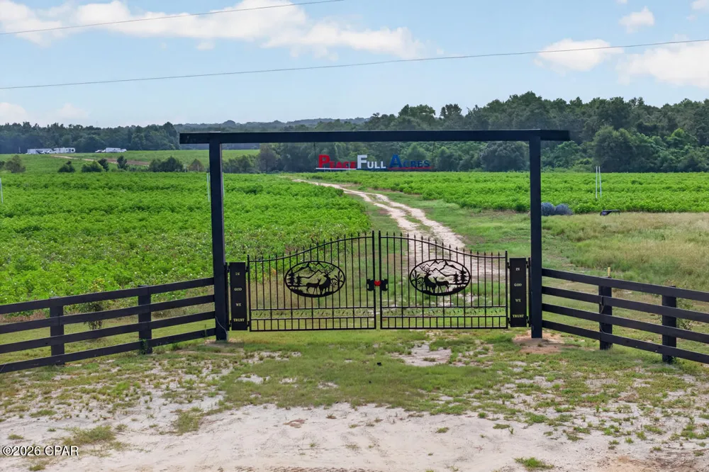 1279 Gavin Road Bonifay, FL 32425